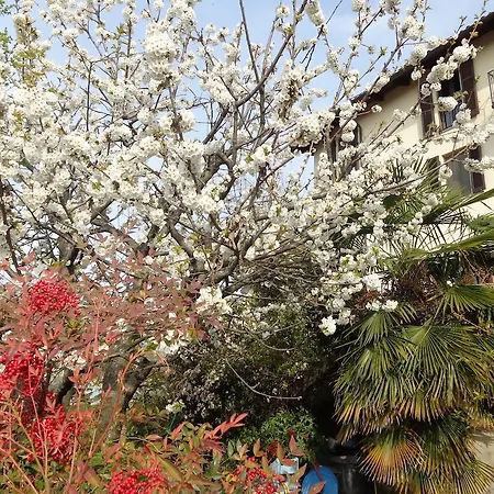 Maria Bed and Breakfast Camino